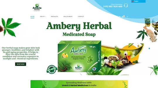 RS Top Coder Pharma Web Design photo